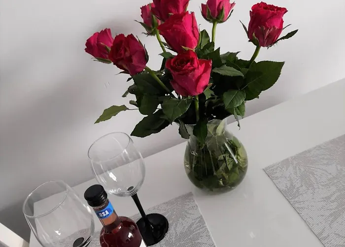 Appartement Apartament85.gdansk.